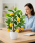 18 AceList Artificial Lemon Tree with White Pot, Faux Citrus Plant for Kitchen, Bathroom, Office or Shelf Decor