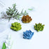 Plant Pattern 3D Resin Succulent Fridge Refrigerator Magnets, White Board Magnets for Home Refrigerator Office Display Board, Set of 8