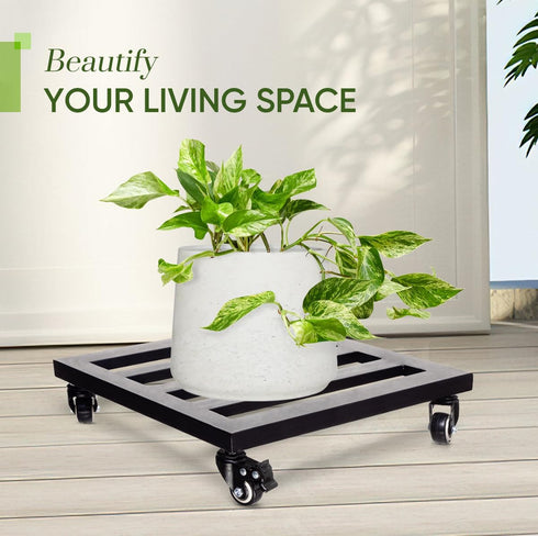 385lbs, 12 Inch, Idzo Upgraded Lockable Heavy Duty Trolley Capacity Black, Large Plant Pots, Parasol Stands and Bases