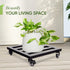 385lbs, 12 Inch, Idzo Upgraded Lockable Heavy Duty Trolley Capacity Black, Large Plant Pots, Parasol Stands and Bases