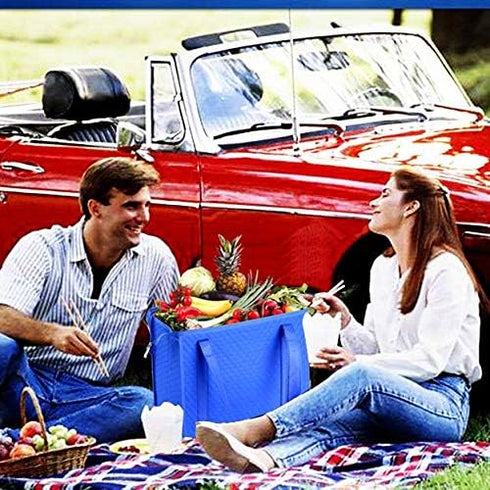 2PCS Insulated Grocery Cooler Bag - Insulated Shopping Bag