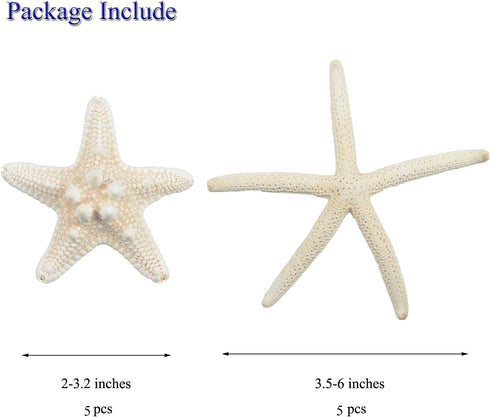 Jangostor 12 PCS Mixed Starfish - 2-6 Inch Natural Seashells for Wedding Decor, Beach Theme Party, DIY Crafts