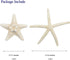 Jangostor 12 PCS Mixed Starfish - 2-6 Inch Natural Seashells for Wedding Decor, Beach Theme Party, DIY Crafts
