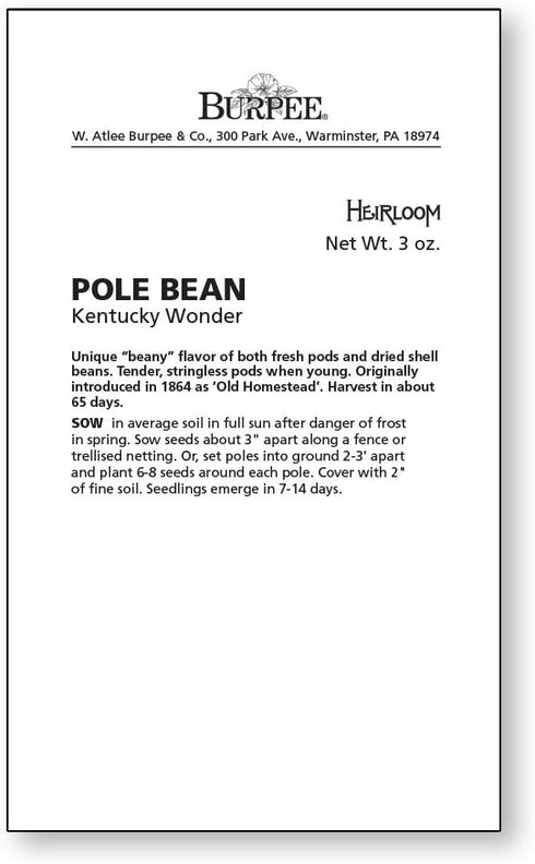 2 Burpee 'Kentucky Wonder' Pole Bean Seeds, ounces of Non-GMO Seed, Heirloom