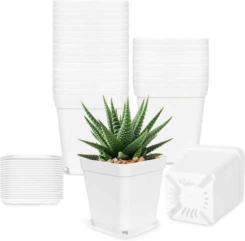 Anyumocz 24Pcs 3" Square Plastic Plant Pots,White Nursery Pots with Saucers,Seedling Nursery
