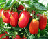 Harley Seeds 30 Italian San Marzano Paste Tomato Seeds, Heirloom Non-GMO, Indeterminate, Open-Pollinated, Productive