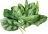 Burpee A La Carte Hybrid Spinach Seeds 300 seeds