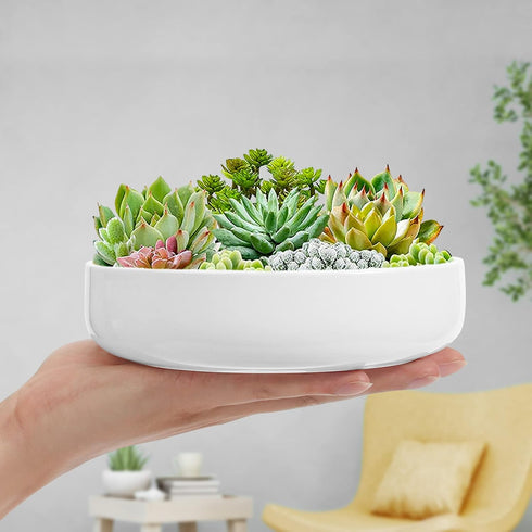 ZOUTOG 6 Inch White Ceramic Flower Planter Pots with Bamboo Tray, Pack of 2 - Plants Not Included