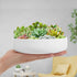 ZOUTOG 6 Inch White Ceramic Flower Planter Pots with Bamboo Tray, Pack of 2 - Plants Not Included