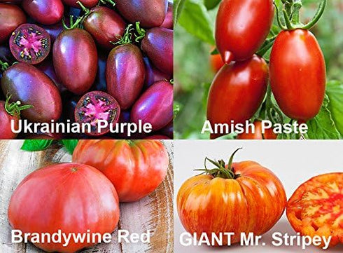 Harley Seeds 30 16 This is A Mix Rainbow Deluxe Tomato Seeds Mix Varieties, Heirloom Non-GMO, Indeterminate, Old
