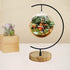 YY YEARCHY Awesomes Ornament Display Stand, Indoor Metal Air Plant Holder for Hanging Glass Globes