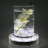 LARDUX 6 Inch Round LED Light Base Display Pedestal Stand for 3D Crystal Cube Glass Art - USB or Battery Powered