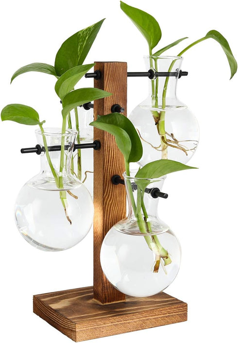 PAG Planter Terrariums Kit Desktop Hydroponics Air Plant Holder with 4 Bulb