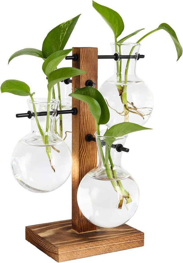 PAG Planter Terrariums Kit Desktop Hydroponics Air Plant Holder with 4 Bulb