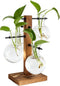 PAG Planter Terrariums Kit Desktop Hydroponics Air Plant Holder with 4 Bulb