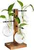 PAG Planter Terrariums Kit Desktop Hydroponics Air Plant Holder with 4 Bulb