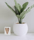 Collins Painting Mini Carved Wood Block Sign, You Are So Loved