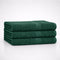 The Holy South 16x27 | 3-Pack | Quick Absorbent & Dry, 100% Cotton | Terry