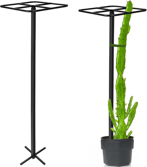 1 Pcs Heavy Duty Dragon Fruit Trellis 12"x12"x50", Adjustable Metal Dragon Plant