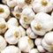 4 Heirloom Hardneck Garlic Bulbs for Planting - Pack Music Garlic Bulbs