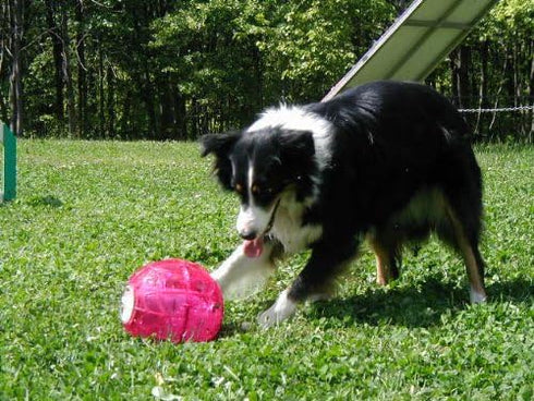 YayLabs! YayLabs Play and Freeze Ice Cream Ball Ice Cream Maker, Pint, Red