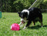 YayLabs! YayLabs Play and Freeze Ice Cream Ball Ice Cream Maker, Pint, Red