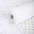 ISEAU Super Soft Fluffy Rugs Shag Area Rug for Bedroom Living Room Fuzzy Mat Plush Anti-Slip Carpets (3ft x 5ft, White)