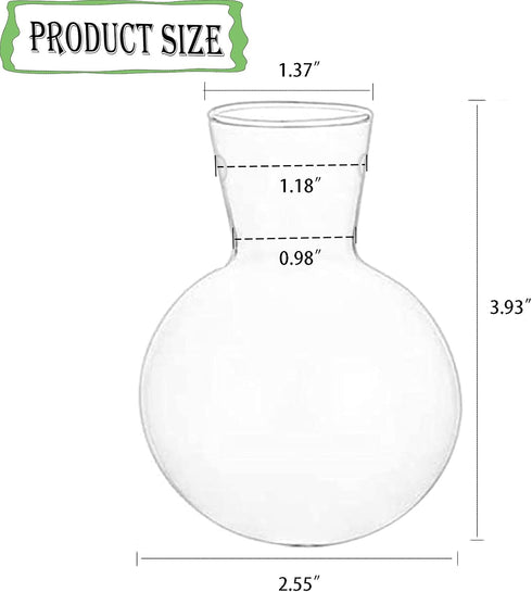 Bulb 1.18 2 Pack Kingbuy Glass Vase with Side-Hole (Hole to Hole Opening Dia.: in) for Replacement Planter Terrarium