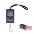 Portable Electronic Scale Mini 40kg-10g with Hanging Hook WH-A01L