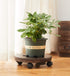 SINOBEST (10 Inch) Wood Plant Caddy, Heavy Duty Rolling Planter Dolly With Rotating Casters, Movable Flower Pot Stand