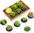 Swpeet 12Pcs Decorative Succulent Cactus Tealight Candles Kit, Cute Smokeless Plants for Festival Wedding Props