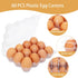 60Pack 1 Dozen Commercial 3x4 Duck Egg Cartons Cheap Bulk Jumbo Egg Cartons Extra Large Egg Containers for Home Ranch