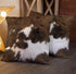 TOMWISH Pack of 2 Throw Pillow Covers - Christmas Cowhide Printing Western 18x18 Decorative Cushion Covers
