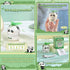 Rechargeable Mini Panda Fan, Cute Animal Tabletop Decoration, Small Desk Fan for Bedside Bookshelf Car Mounted