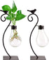 Suwimut 2 Pack Desktop Planter Hydroponics Vase, Plant Propagation Station Planter Bulb