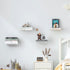 4-Pack STORAGE MANIAC Floating Book Shelves for Wall Mounted Invisible Floating Bookshelves Heavy-Duty Steel Hidden