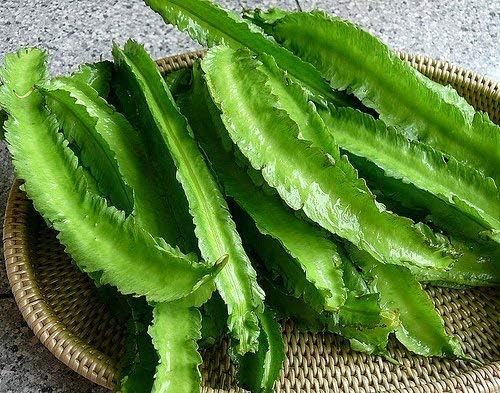 Winged Beans -Dau Rong;Tour-Poo (Psophocarpus Tetragonolobus) 50 Seeds