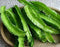 Winged Beans -Dau Rong;Tour-Poo (Psophocarpus Tetragonolobus) 50 Seeds