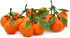 5 Decor(15Pcs) Mini Clusters Artificial Orange Fake Orange Simulation Mini Orange Plastic Fruits for Decoration