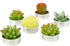 Cactus Tealight Candles, Handmade Delicate Succulent Candles, Perfect for Birthday Party, Wedding, Spa, Home Decor