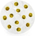 12.6 Inches 25 Foraineam Porcelain Deviled Egg Tray/Platter, White Egg Dish with Compartments