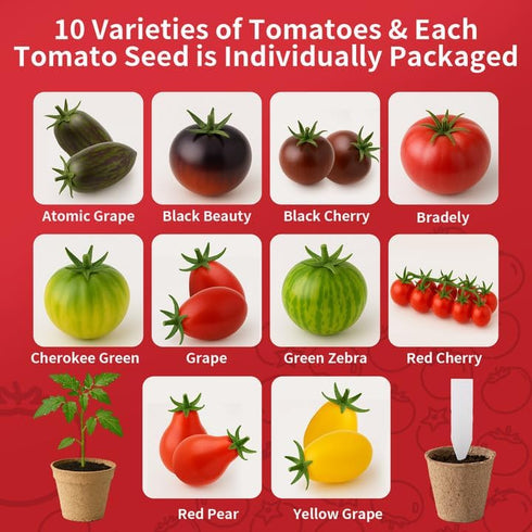 EquSym 10 Pack Set Tomato Seeds for Planting - Heirloom Tomato Seeds for Indoor Outdoor Gardening - Natural Soil Disc