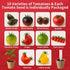 EquSym 10 Pack Set Tomato Seeds for Planting - Heirloom Tomato Seeds for Indoor Outdoor Gardening - Natural Soil Disc