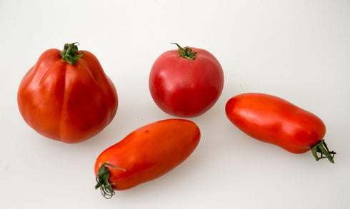 CEMEHA SEEDS Tomato"Like Pepper Form" Vegetable Heirloom Non-GMO