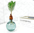 HymoConn Bulb Plant Propagation Station Propagation Vases for Plants Glass Terrariums Vases with Wooden Stand