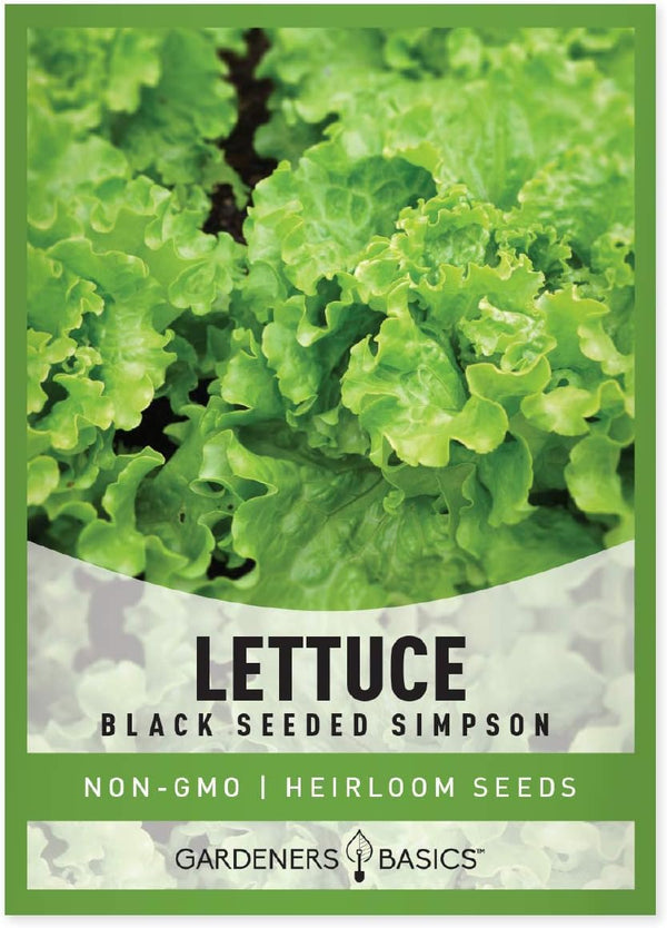 Gardeners Basics, Green Leaf Lettuce Seeds for Planting - (Black Seeded Simpson
