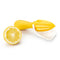 Tovolo Citrus Reamer Juicer with Seed Catcher Manual Fruit Juicer for Lemons