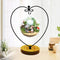 WAJJ Ornament Display Stand for Hanging Glass Terrarium Wood Base Creative Decoration