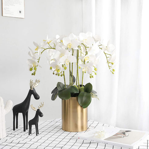 FagusHome 6 Pcs Artificial Phalaenopsis Flowers with 6 Bundles Leaves, Artificial Orchid Flowers Stem Plants for Home