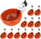 Lil'Clucker Large Automatic Chicken Waterer Cups | Chicken Water Feeder Suitable for